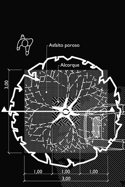 Plano medidas cajete plantación árbol.